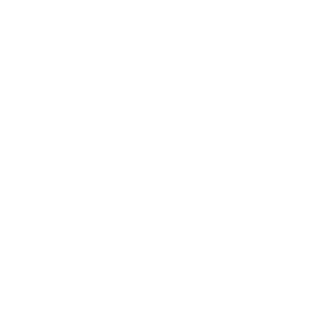 Japan Digital Asset Association 一般社団法人日本デジタルアセット協会